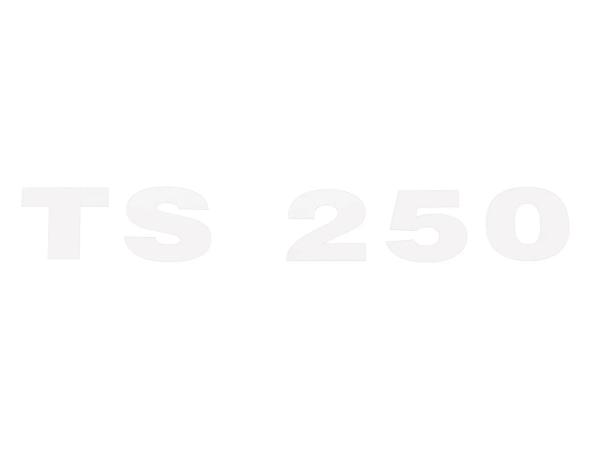 Schriftzug (Folie) "TS 250" chrom für Seitendeckel - für MZ TS250,  10067970 - Bild 1