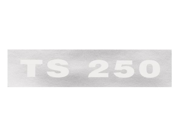 Schriftzug (Folie) "TS 250" chrom negativ für Seitendeckel - für MZ TS250,  10067971 - Bild 1