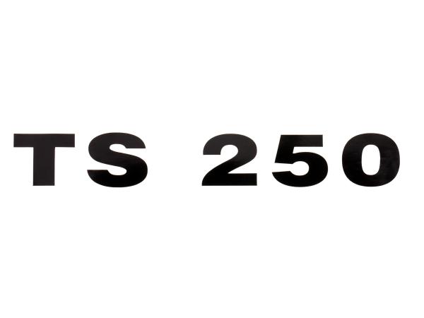 Schriftzug (Folie) "TS 250" schwarz für Seitendeckel - für MZ TS250,  10067969 - Bild 1