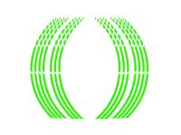 Racing Felgenband Neon-Grün, Aufkleber für Felgenflanke