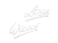 Set: Schriftzug (Plaketten aus Kunststoff) "Wiesel" und "SR56", Art.-Nr.: 10067985 - Bild 1