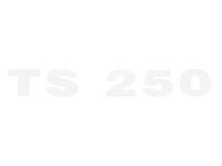Schriftzug (Folie) "TS 250" chrom für Seitendeckel - für MZ TS250, Art.-Nr.: 10067970 - Bild 1