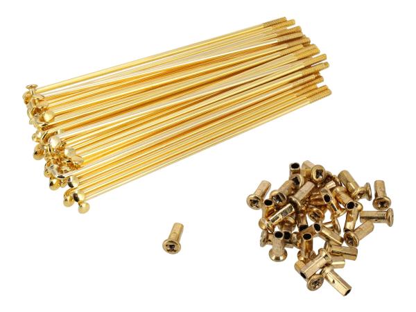 Set: Speichen mit Nippel, Gold, 143,5mm, M3,5 (16Zoll / Trommelbremse),  GP10000826 - Image 1