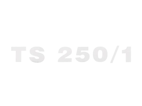 Schriftzug (Folie) "TS 250/1" chrom für Seitendeckel - für MZ TS250/1,  10067973 - Bild 1